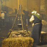 DSC_0074 (2)