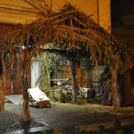 DSC_0115 (2)