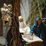 DSC_0131 (2)