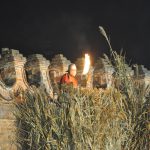 DSC_0158 (2)