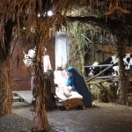 IMG_0149 (2)