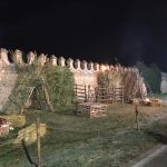 IMG_0187 (2)